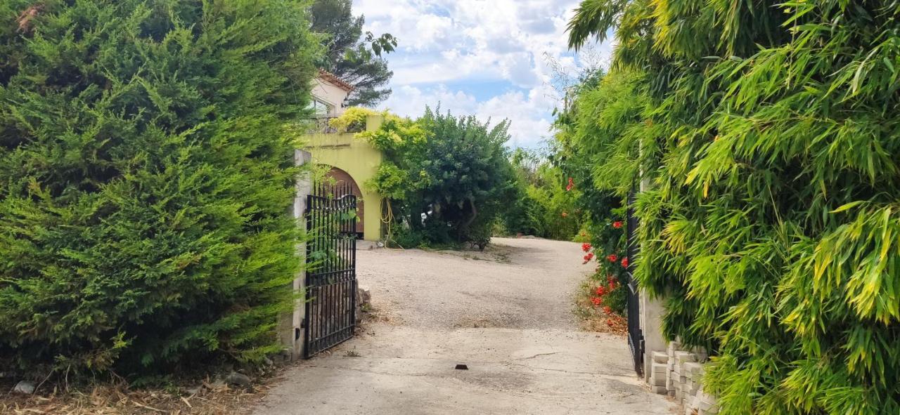 Bambou Entre Mer Et Montagnes Chateauneuf-Grasse Eksteriør billede